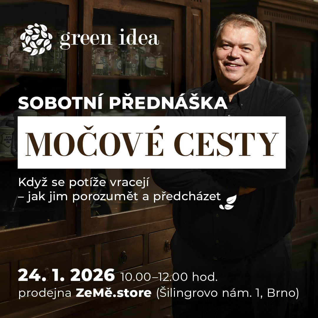 Přednáška Močové cesty